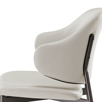 Noble, Upholstered Dining Side Chairs Set of 2, Gray