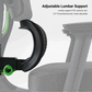 Axion Ergonomic Hybrid Chair With Adjustable Lumbar Support, Black Mesh Chair.