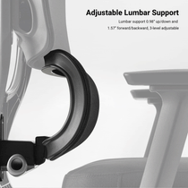 Axion grey fabric adjustable lumbar support
