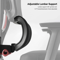 Axion red adjustable lumbar support, red,fabric