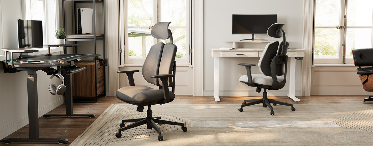 Dual-Backrest Support Ergonomic Flex Home Office Chair | OC10 | Eureka Ergonomic, Off-White