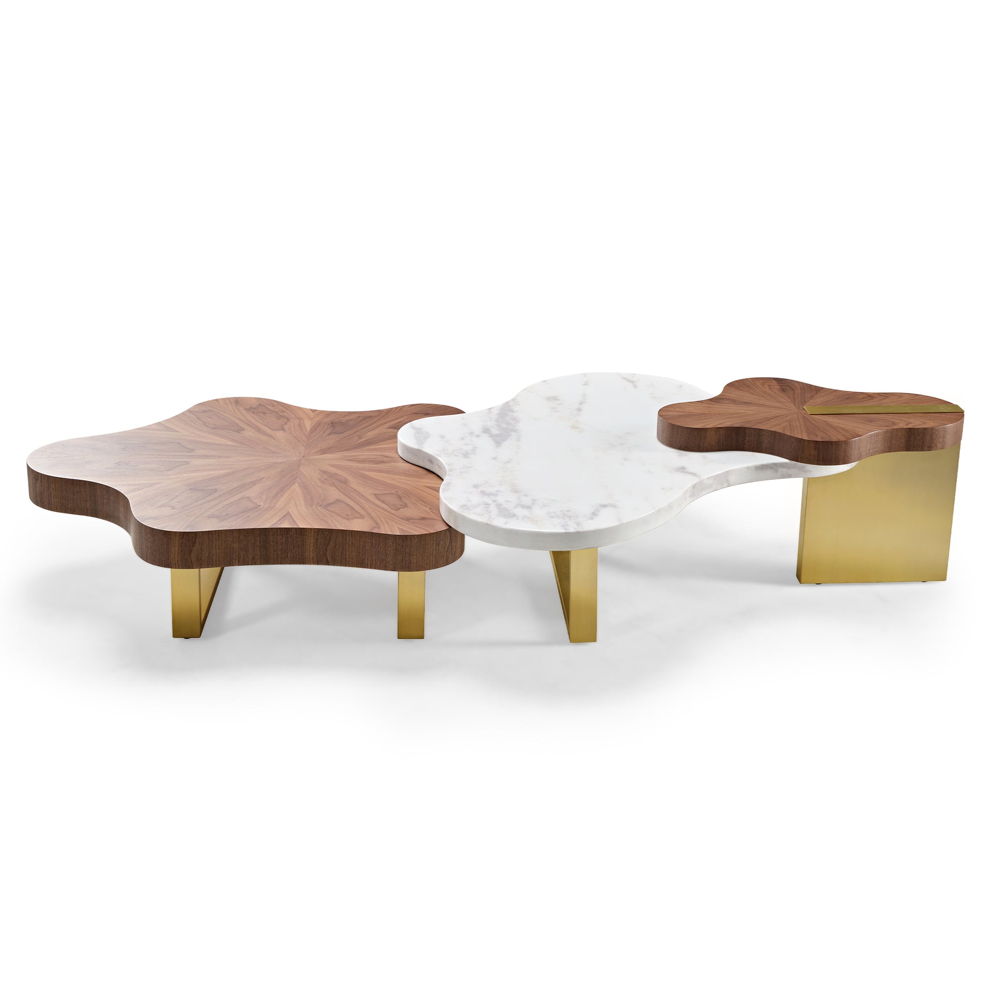 Eureka Ergonomic 63" Cloud Shape Solid Wood Coffee Table Set product showcase