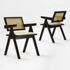 Mila Rattan Dining Chairs Set of 2, Walnut/Black - Black