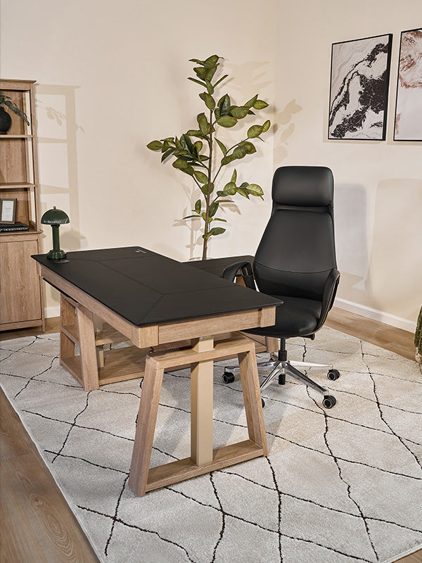 Eureka Ergonomic