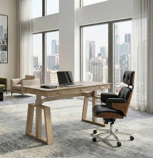 Executive Office Set：Ark EL Standing Desk & Executive Office Chair