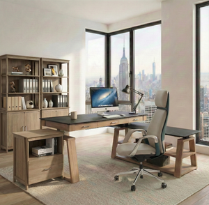 Executive Office Set: Ark EX Standing Desk, Chair & Storage