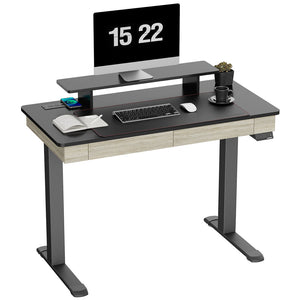 Double-Drawer Electric Standing Desk with Wood Finsh, Oak, 47''