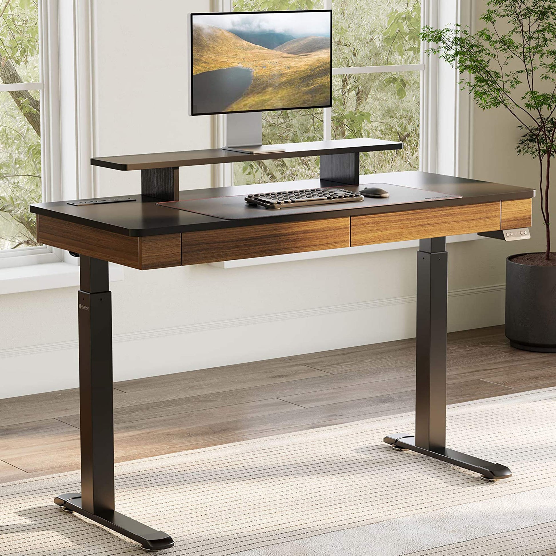 Double-Drawer Electric Standing Desk, Walnut-colored, 55"