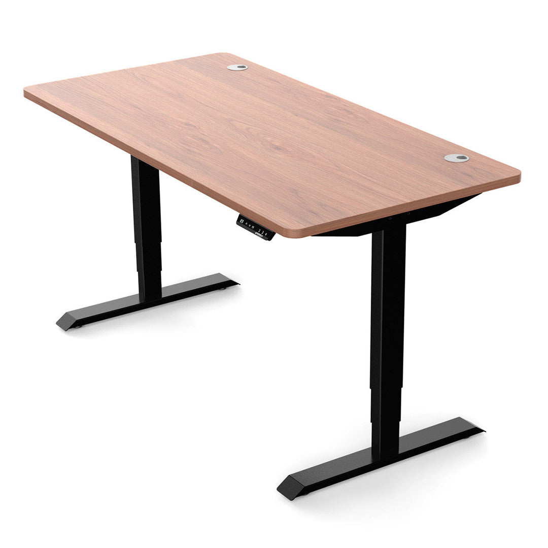Eureka Ergonomic® E60 Height Adjustable Electric Standing Desk, Wood/Black - ERK-ESDF-SS1