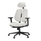 Flex, Ergonomic Office Chair