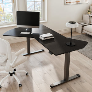 Eureka Ergonomic 70x46 Office Standing Desk, Black