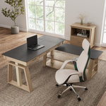 Eureka Ergonomic Ark EX Executive Standing Desk , Black & Oak