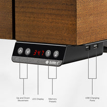 Eureka Ergonomic Ark Executive Standing Desk with Lifting Controller