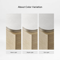 Eureka Ergonomic Ark Pro Executive Standing Desk: Color Variation Notice