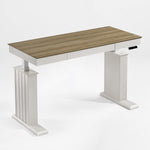 Eureka Ergonomic Ark SD Standing Desk Product Showcase