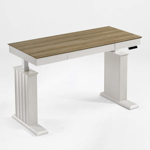 Eureka Ergonomic Ark SD Standing Desk Product Showcase