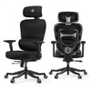 Axion, Ergonomic Hybrid Chair - Grey