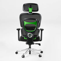 Axion Ergonomic Hybrid Chair, Black Mesh Back and Green Accents, Ergonomic Design, Featuring Eureka Ergonomic Logo.