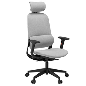 Eureka Ergonomic Modern home office chair, Gray