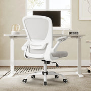 Eureka Ergonomic ONYX Series, Office Chair, Adjustable Lumbar Support, Gray