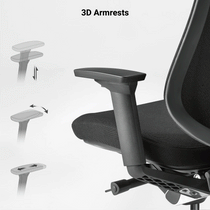 Lira, Ergonomic Office Chair