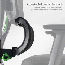 Axion Adjustable Lumbar gif
 Support, green, fabric