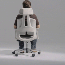 Divio,Dual-Backrests Ergonomic Office Chair
