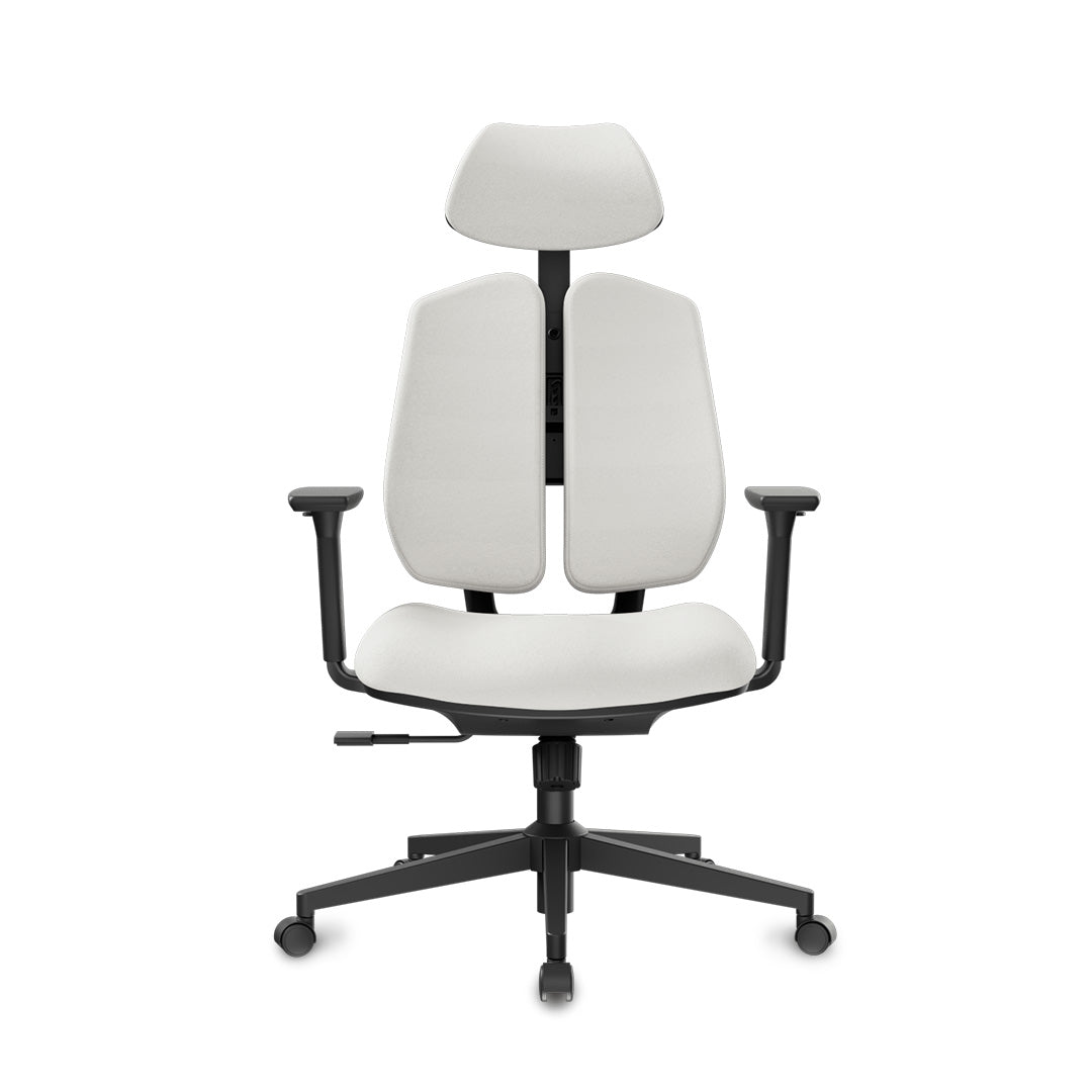 Flex Ergonomic Home Office Chair