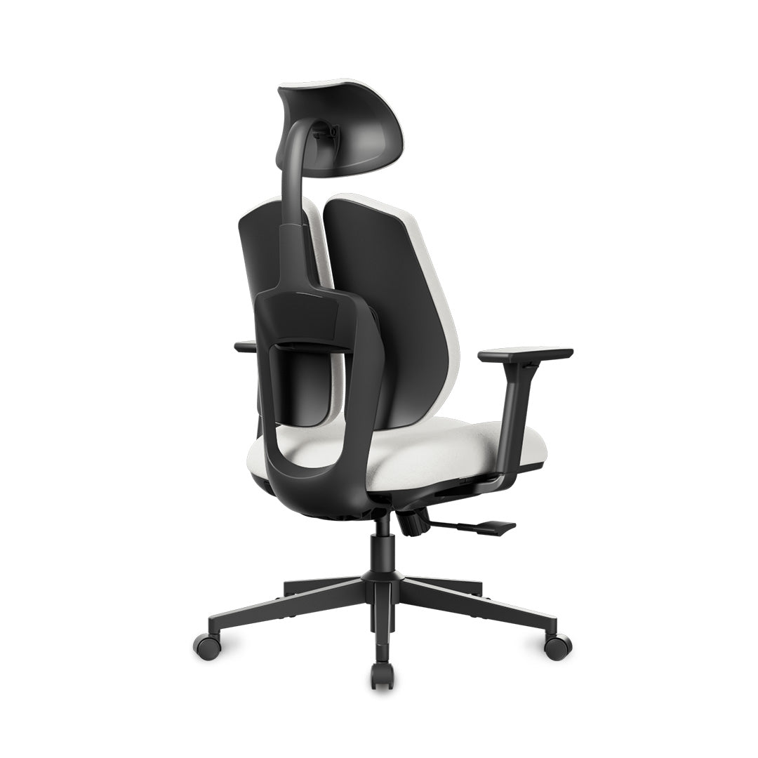 Flex Ergonomic Home Office Chair