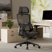 Lark, Adjustable Lumbar Ergonomic Office Chair