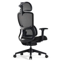 Lark Ergonomic Office Chair With Black Mesh Back and Adjustable Lumbar Support, Ideal for Office Use.