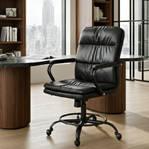 Regal, PU Leather Home Office Chair