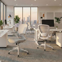 Onyx, Ergonomic Office Chair