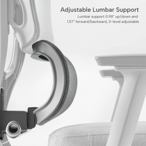 Adjustable Lumbar Support, Silver Gray, Fabric