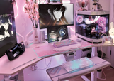 Eureka Ergonomic