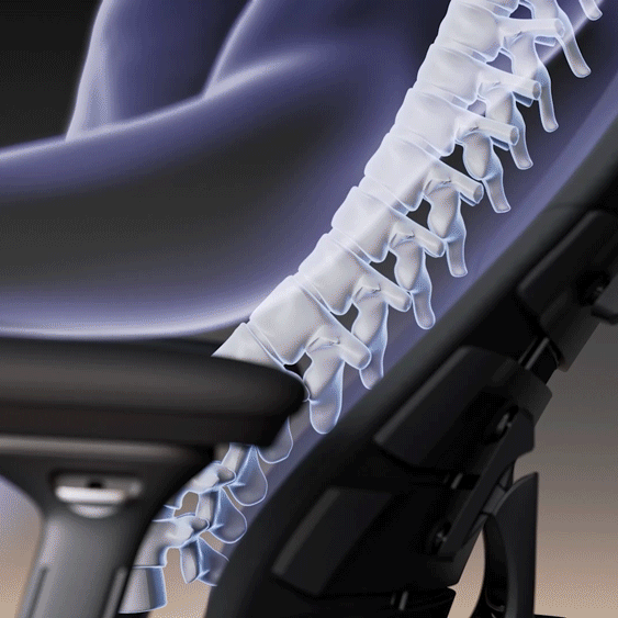 Eureka Ergonomic LiberNovo Omni Pro spine support graphic