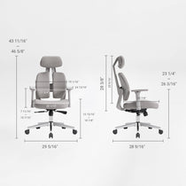 Divio,Dual-Backrests Ergonomic Office Chair