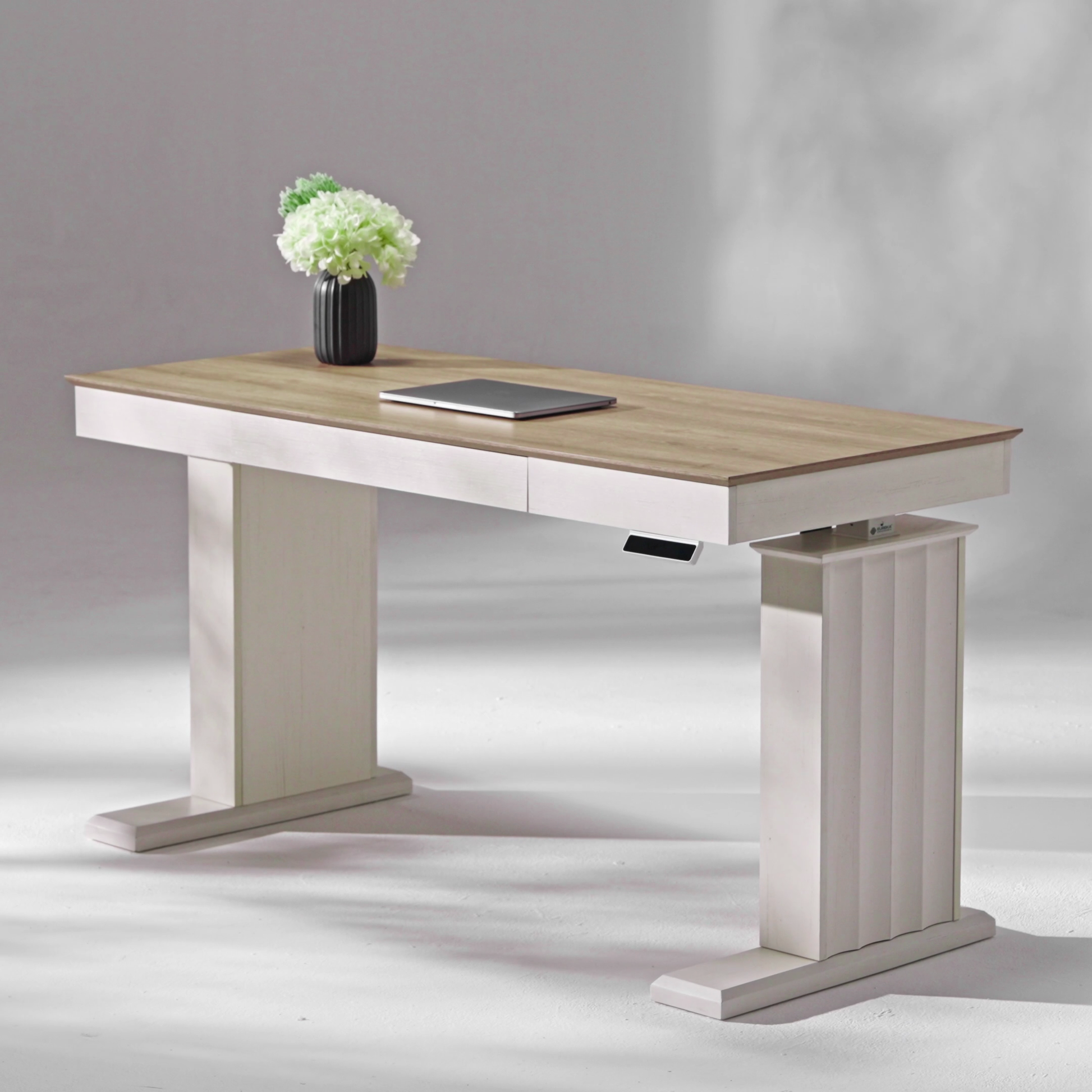 Eureka Ergonomic Ark SD Standing Desk Video.