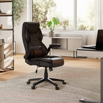 Eureka Ergonomic, Home Office Chair, Black, Lifestyle on rug promotional video Regular