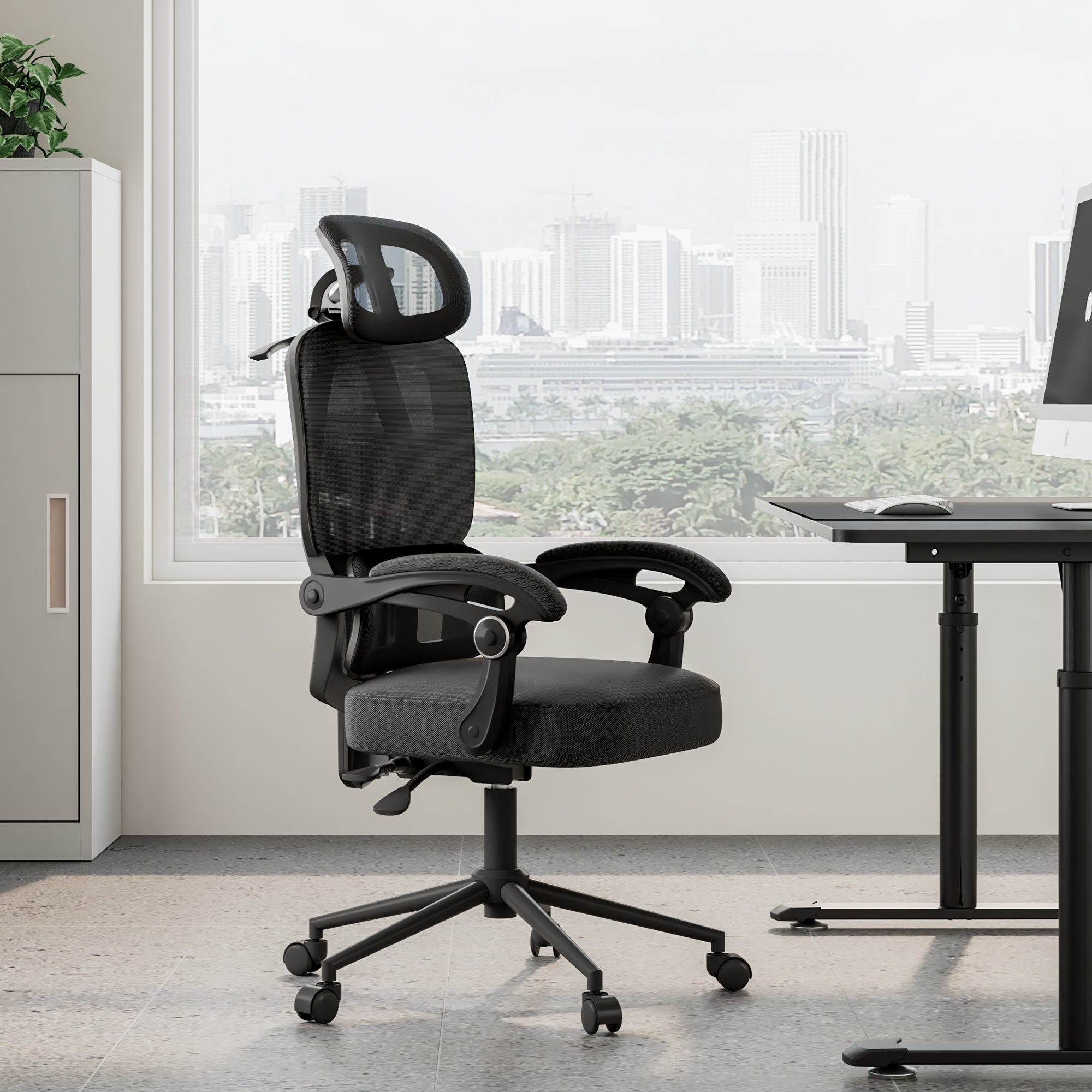 Eureka Ergonomic-Mesh Adjustable Lumbar Support Home Office