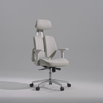 Divio,Dual-Backrests Ergonomic Office Chair
