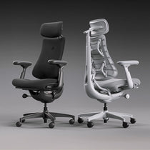 LiberNovo Omni, Ergonomic Office Chair