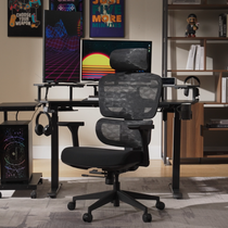 Cyra, Ergonomic Office Chair