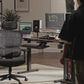 Cyra, Ergonomic Office Chair